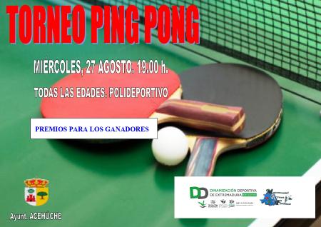 Imagen 27 de Agosto - Torneo de ping pong